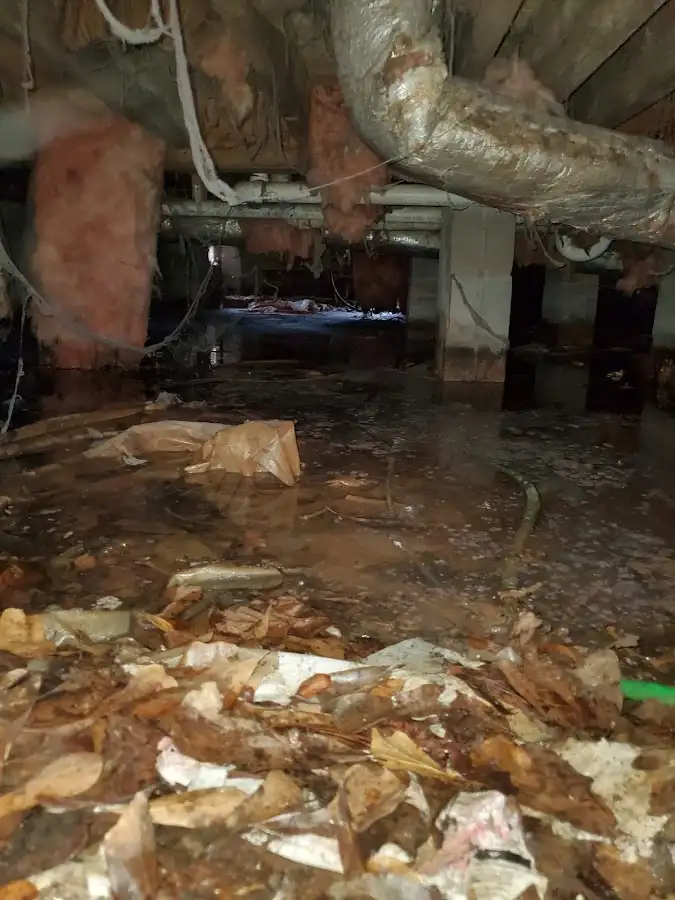 Crawl space flood assessment for Leak Detection & Repair in Cathedral City